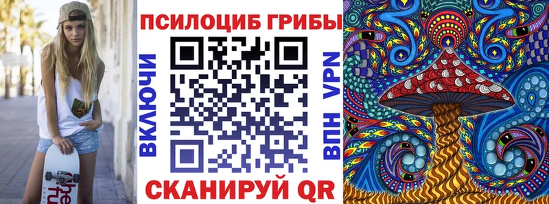 купить  цена  Тимашёвск  Псилоцибиновые грибы мицелий 